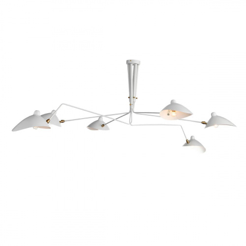 Потолочная люстра ST Luce Spruzzo SL305.502.06 купить по низкой цене