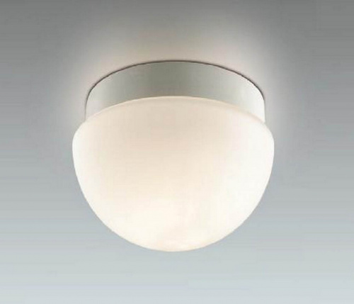 Накладной светильник Odeon Light IZAR 2443/1A