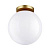 Потолочный светильник Odeon Light Bosco 4248/1C