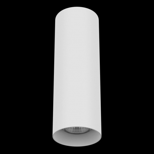 Накладной светильник Lightstar Rullo 216496