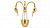 Светодиодное бра Lightstar CIGNO COLLO 751632