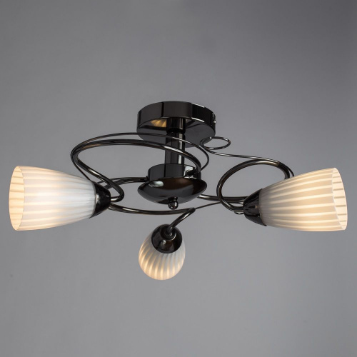 Потолочный светильник Arte Lamp ALESSIA A6545PL-3BC