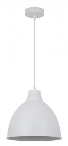 Подвесной светильник Arte Lamp BRACCIO A2055SP-1WH