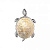 Настенный светильник FAVOURITE Turtle 2255-1W